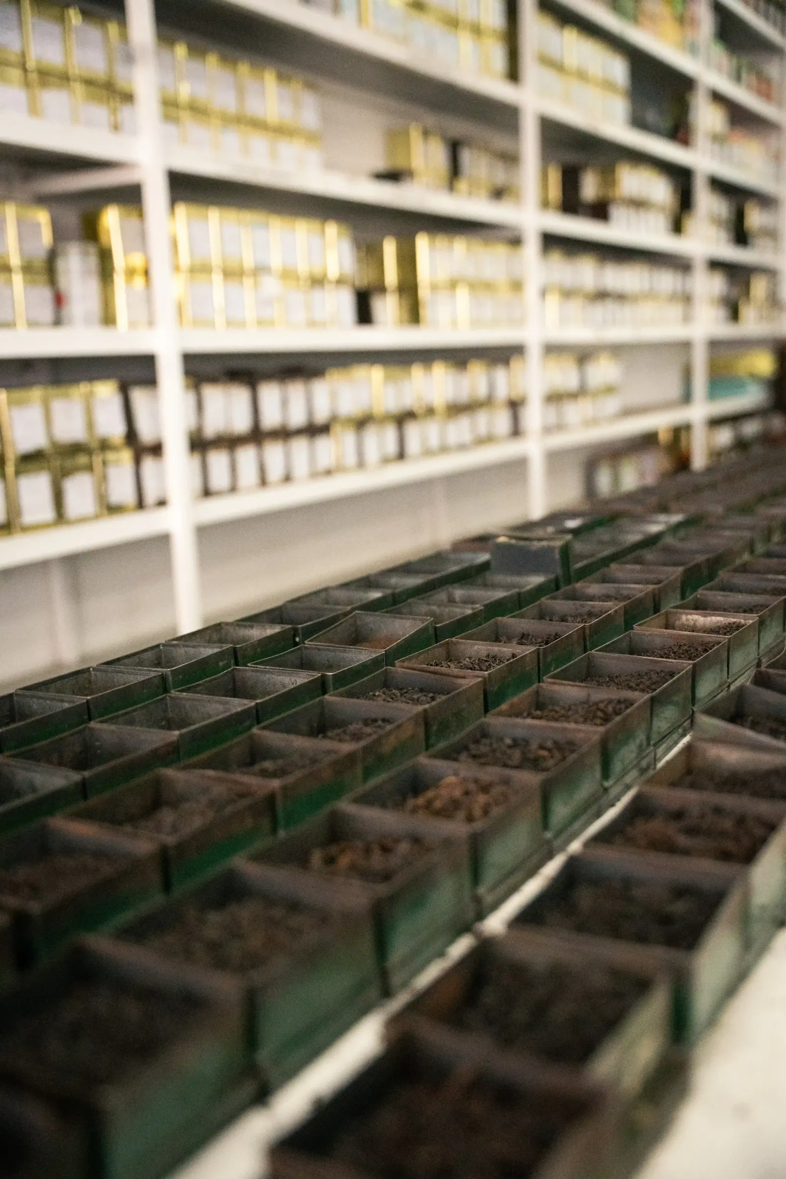 Colombo Tea Auction sourcing